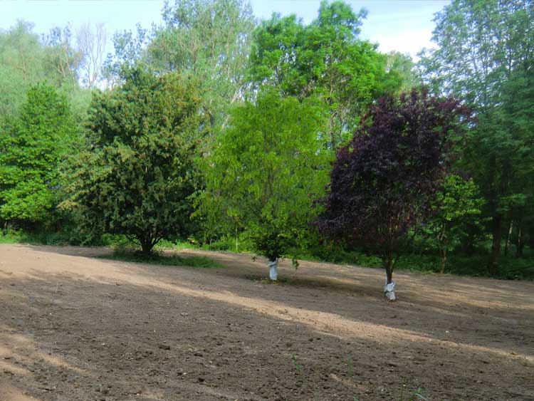 Garten- und Landschaftsbau